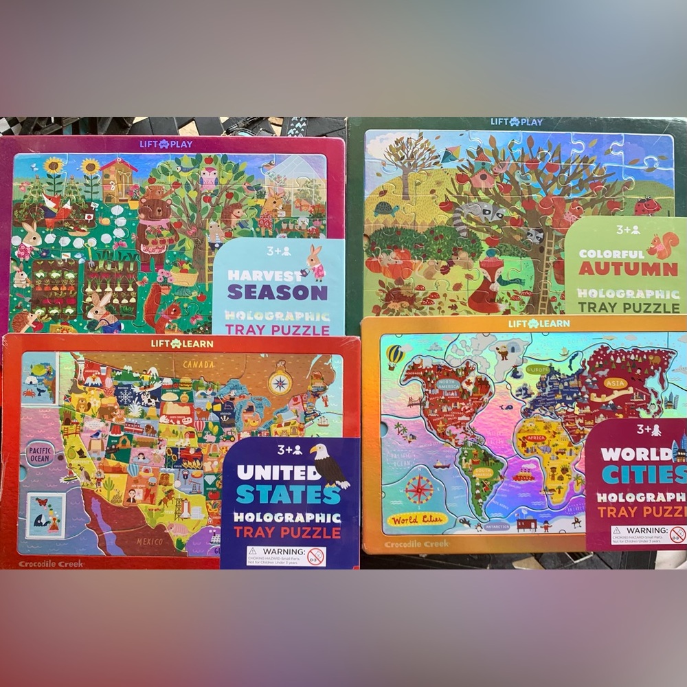 Holographic Tray Puzzle Set for Kids